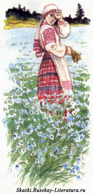 девушка на цветущем поле льная